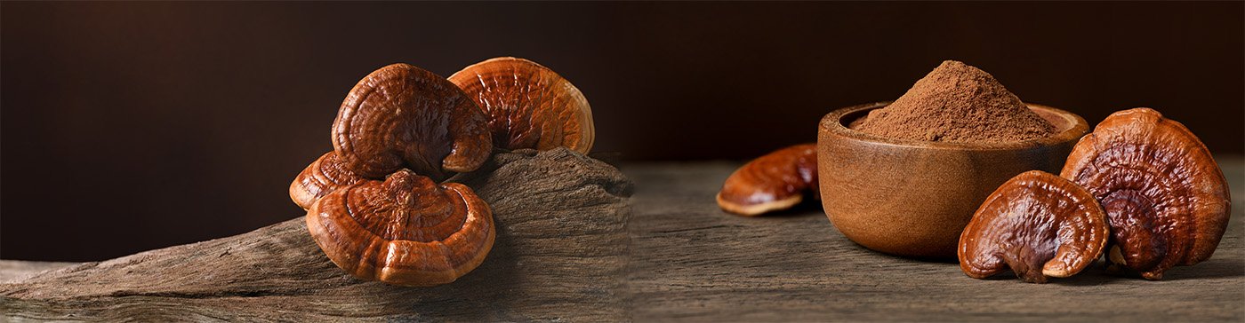 Reishi full width banner